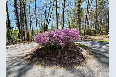 20 White Squirrel Lane, Hendersonville, NC 28739 - Photo 27