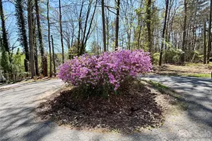 20 White Squirrel Ln, Hendersonville, NC 28739 - Photo 27