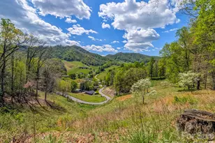 572 Pleasant Valley Rd, Burnsville, NC 28714 - Photo 43