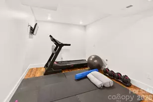 257 Jones Cove Rd, Asheville, NC 28805 - Photo 41