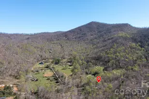 257 Jones Cove Rd, Asheville, NC 28805 - Photo 47