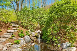 257 Jones Cove Rd, Asheville, NC 28805 - Photo 45