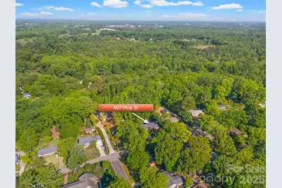407 Pine Street, Fort Mill, SC 29715 - Photo 39