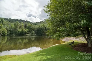 508 Cobblestone Ln N, Flat Rock, NC 28731 - Photo 43