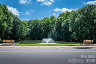 4236 Burning Tree Dr, Charlotte, NC 28277 - Photo 47