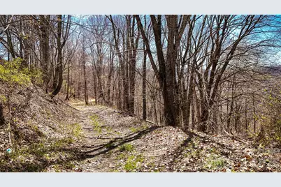 7277 Beech Mountain Road, Beech Mountain, NC 28622 - Photo 3