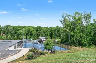 509 Common Raven Ct, Fort Mill, SC 29715 - Photo 19