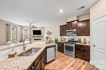 509 Common Raven Court, Fort Mill, SC 29715 - Photo 3