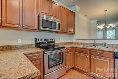 11177 Cedar Walk Lane, Charlotte, NC 28277 - Photo 5