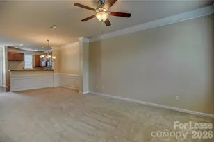 11177 Cedar Walk Lane, Charlotte, NC 28277 - Photo 3