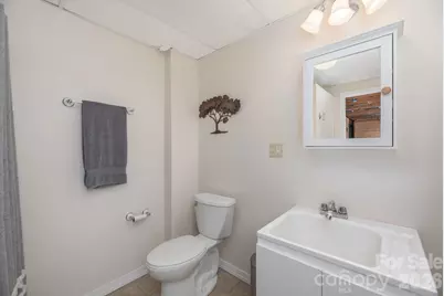 431 Pleasant Grove Road, Hendersonville, NC 28739 - Photo 33