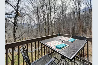 90 Davidson Gap Road, Leicester, NC 28748 - Photo 5