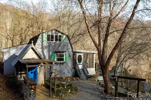 90 Davidson Gap Rd, Leicester, NC 28748 - Photo 39