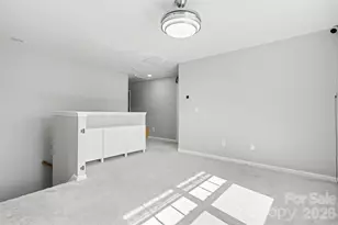 1111 Wallace Lake Rd, Indian Land, SC 29707 - Photo 19