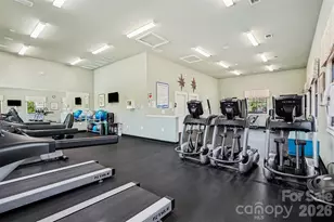 1111 Wallace Lake Rd, Indian Land, SC 29707 - Photo 45