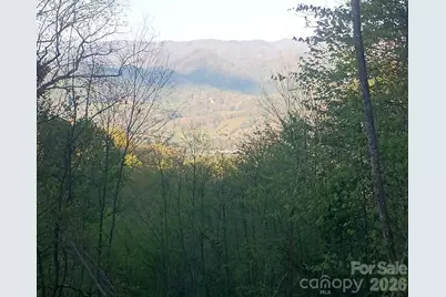 3355 Utah Mountain Road #3-F, Waynesville, NC 28785 - Photo 5