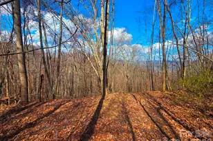 3355 Utah Mountain Rd, Waynesville, NC 28785 - Photo 1