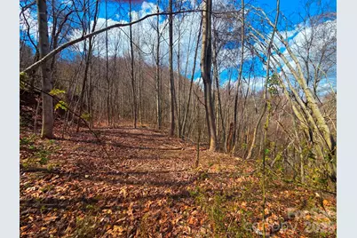 3355 Utah Mountain Road #3-F, Waynesville, NC 28785 - Photo 17