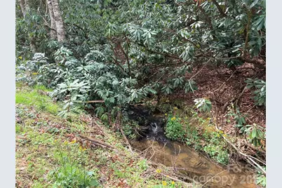 00 White Oak Road, Waynesville, NC 28785 - Photo 3