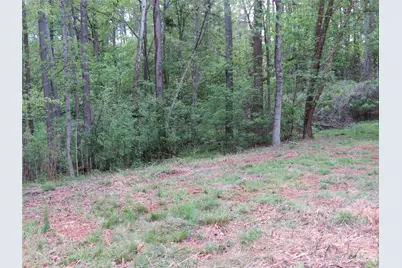 0 McCall Drive, Forest City, NC 28043 - Photo 9