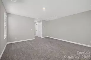 314 Hyssop Ct, Fort Mill, SC 29715 - Photo 25