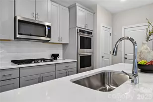314 Hyssop Ct, Fort Mill, SC 29715 - Photo 11