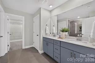 314 Hyssop Ct, Fort Mill, SC 29715 - Photo 21
