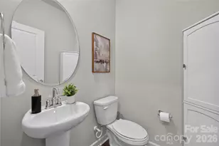 314 Hyssop Ct, Fort Mill, SC 29715 - Photo 17