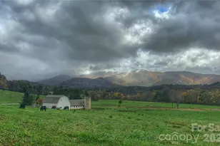 18 Majestic Oak Cir, Asheville, NC 28805 - Photo 43