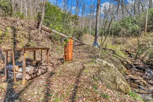 1100 Panther Branch Rd, Canton, NC 28716 - Photo 15