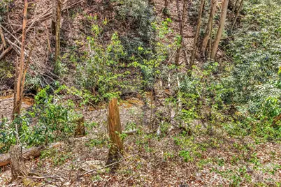 1100 Panther Branch Road, Canton, NC 28716 - Photo 13