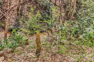 1100 Panther Branch Rd, Canton, NC 28716 - Photo 13