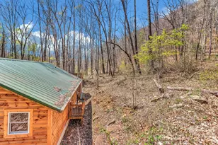 1100 Panther Branch Rd, Canton, NC 28716 - Photo 17