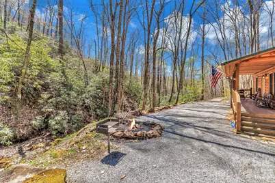 1100 Panther Branch Road, Canton, NC 28716 - Photo 3