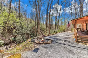 1100 Panther Branch Rd, Canton, NC 28716 - Photo 3