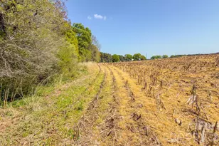 17643 Efird Rd, Albemarle, NC 28001 - Photo 25