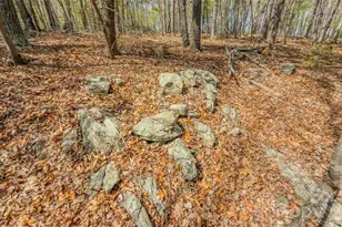 17643 Efird Rd, Albemarle, NC 28001 - Photo 19