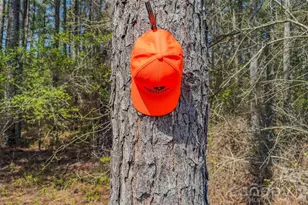 17643 Efird Rd, Albemarle, NC 28001 - Photo 17