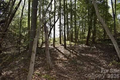 0 Hollis Road, Ellenboro, NC 28040 - Photo 25