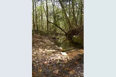 0 Hollis Road, Ellenboro, NC 28040 - Photo 21