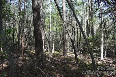 0 Hollis Road, Ellenboro, NC 28040 - Photo 13