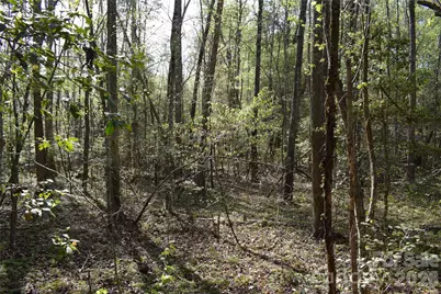 277 Philadelphia Church Road, Ellenboro, NC 28040 - Photo 19