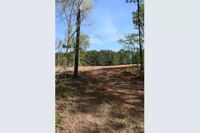 277 Philadelphia Church Road, Ellenboro, NC 28040 - Photo 31