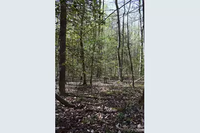 277 Philadelphia Church Road, Ellenboro, NC 28040 - Photo 17