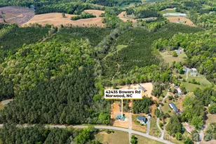 42435 Bowers Rd, Norwood, NC 28128 - Photo 31