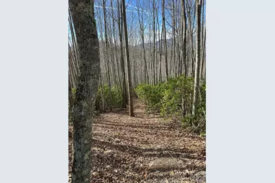 Lt 239 Down The Hill Road #239, Sylva, NC 28779 - Photo 3