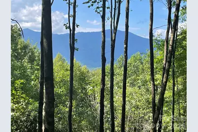 Lt 239 Down The Hill Road #239, Sylva, NC 28779 - Photo 1