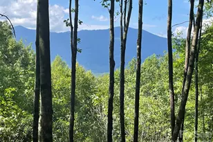 Lt 239 Down The Hill Rd, Sylva, NC 28779 - Photo 1