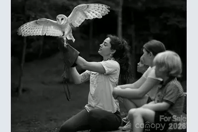 Lt 239 Down The Hill Road #239, Sylva, NC 28779 - Photo 15