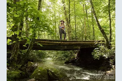 Lt 239 Down The Hill Road #239, Sylva, NC 28779 - Photo 17